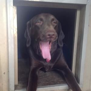 Meet your Posher, Ellie